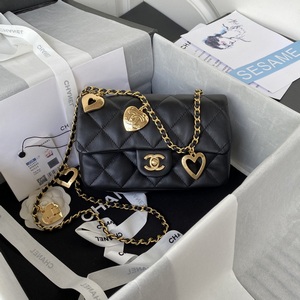 Chanel Handbags 1134